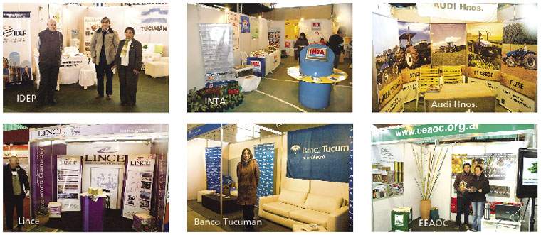 Revista PRODUCCION: Expo Lules Productivo 2011