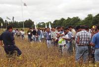 Revista PRODUCCION: Jornada Agropecuaria NOA