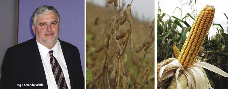 Revista PRODUCCION: Soja y Ma&iacute;z